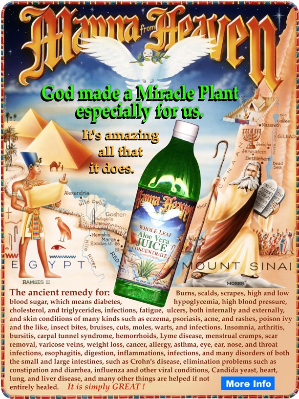 Manna From Heaven, Whole Leaf Aloe Vera Concentrate